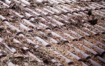 Hawkerland roof cleaning companies